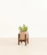 Load image into Gallery viewer, Glossy Pink stand:walnut
