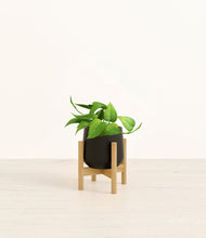 Load image into Gallery viewer, Black stand:bamboo
