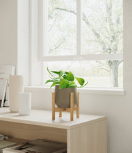 Load image into Gallery viewer, Olive stand:bamboo
