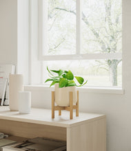 Load image into Gallery viewer, Almond Green stand:bamboo
