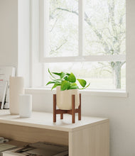 Load image into Gallery viewer, Almond Green stand:walnut
