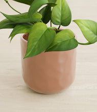 Load image into Gallery viewer, Hammered Peach Pink stand:all
