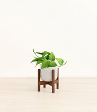 Load image into Gallery viewer, Hammered Ivory stand:walnut
