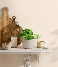 Load image into Gallery viewer, Cotton White
