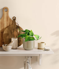 Load image into Gallery viewer, Sage Green
