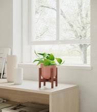 Load image into Gallery viewer, Striped Rose Pink stand:walnut
