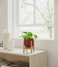Load image into Gallery viewer, Striped Cherry Red stand:bamboo
