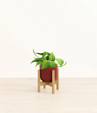 Load image into Gallery viewer, Striped Cherry Red stand:bamboo
