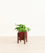 Load image into Gallery viewer, Striped Cherry Red stand:walnut
