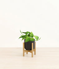 Load image into Gallery viewer, Stone Black stand:bamboo
