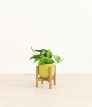 Load image into Gallery viewer, Key Lime Yellow stand:bamboo
