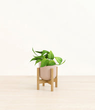 Load image into Gallery viewer, Sandy Pink stand:bamboo
