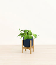 Load image into Gallery viewer, Twilight Blue stand:bamboo
