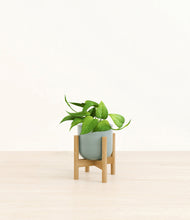 Load image into Gallery viewer, Reactive Aqua stand:bamboo
