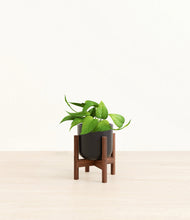 Load image into Gallery viewer, Stone Black stand:walnut
