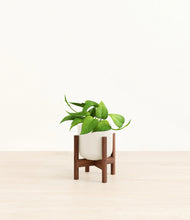 Load image into Gallery viewer, Cotton White stand:walnut
