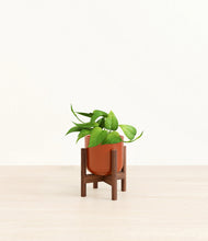 Load image into Gallery viewer, Glossy Red stand:walnut
