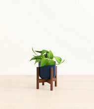 Load image into Gallery viewer, Twilight Blue stand:walnut
