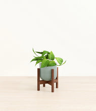 Load image into Gallery viewer, Reactive Aqua stand:walnut

