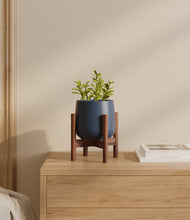 Load image into Gallery viewer, Deep Navy stand:walnut
