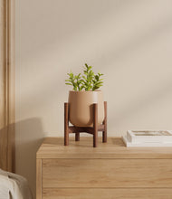 Load image into Gallery viewer, Gentle Pink stand:walnut
