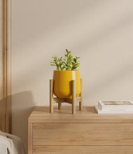 Load image into Gallery viewer, Mustard stand:bamboo
