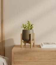 Load image into Gallery viewer, Olive stand:bamboo
