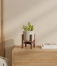 Load image into Gallery viewer, Cotton White stand:walnut
