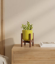 Load image into Gallery viewer, Key Lime Yellow stand:walnut
