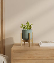 Load image into Gallery viewer, Reactive Aqua stand:bamboo
