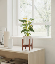 Load image into Gallery viewer, Snowdrift White stand:walnut
