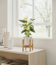 Load image into Gallery viewer, Snowdrift White stand:bamboo
