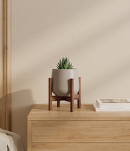 Load image into Gallery viewer, Eternal Gray stand:walnut
