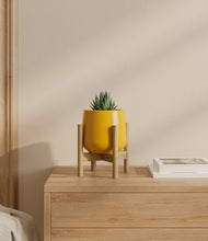Load image into Gallery viewer, Mustard stand:bamboo
