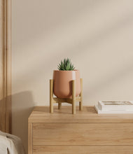 Load image into Gallery viewer, Calm Rose stand:bamboo
