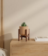 Load image into Gallery viewer, Glossy Pink stand:walnut
