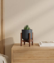 Load image into Gallery viewer, Iron Gray stand:walnut
