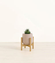 Load image into Gallery viewer, Eternal Gray stand:bamboo
