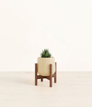 Load image into Gallery viewer, Almond Green stand:walnut
