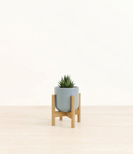 Load image into Gallery viewer, Misty Blue stand:bamboo
