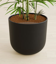 Load image into Gallery viewer, Stone Black stand:all
