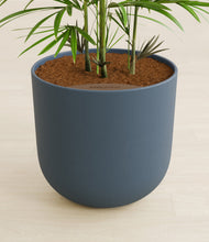 Load image into Gallery viewer, Iron Gray stand:all
