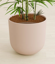 Load image into Gallery viewer, Sandy Pink stand:all
