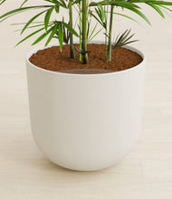 Load image into Gallery viewer, Natural Bamboo stand:all
