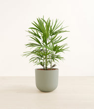 Load image into Gallery viewer, Sage Green*****Profile
