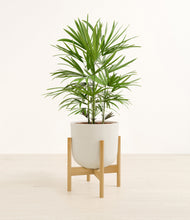 Load image into Gallery viewer, Natural Bamboo stand:bamboo
