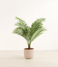 Load image into Gallery viewer, Sandy Pink*****Profile

