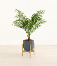 Load image into Gallery viewer, Iron Gray stand:bamboo
