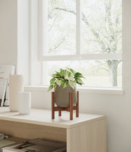 Load image into Gallery viewer, Olive stand:walnut
