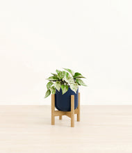 Load image into Gallery viewer, Twilight Blue stand:bamboo

